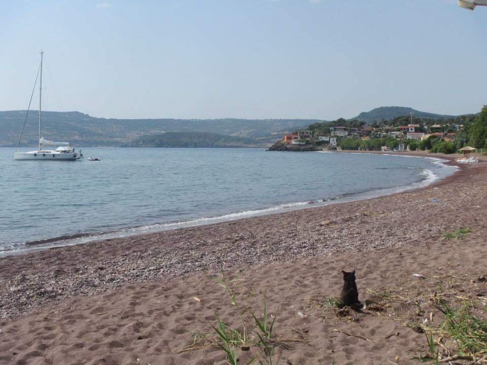 Eleni B&B Limani Kapis Esterno foto